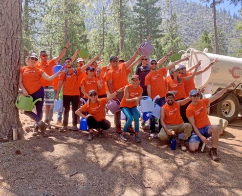 Swinerton volunteers point at Sequoia National Park
