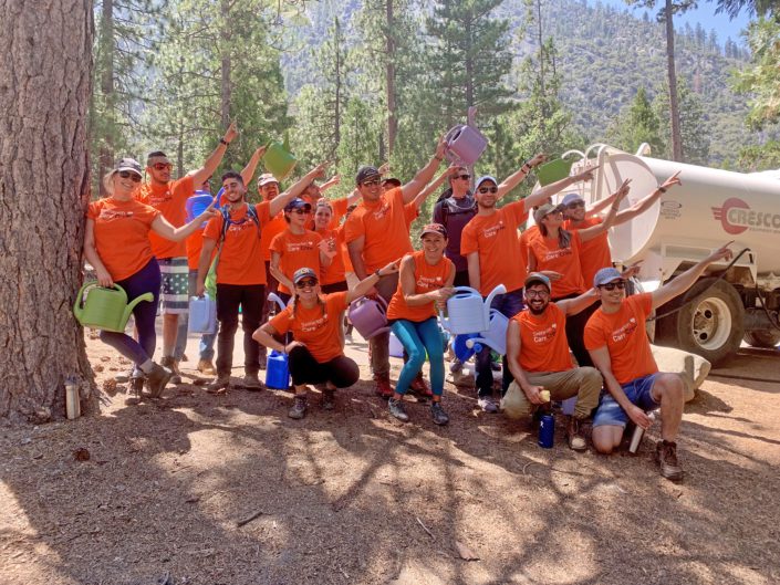 Swinerton volunteers point at Sequoia National Park